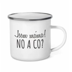 Plecháček - Jsem máma! NO A CO?