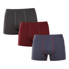 3PACK pánské boxerky Andrie vícebarevné (PS 5871)