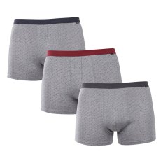 3PACK pánské boxerky Andrie šedé (PS 5702)