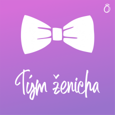 Nažehlovací motiv - Motýlek - tým ženicha