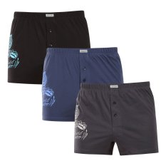 3PACK pánské trenky Andrie vícebarevné (PS 5853)