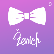 Nažehlovací motiv - Motýlek - ženich