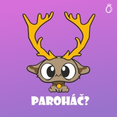 Pánske tričko - Paroháč?