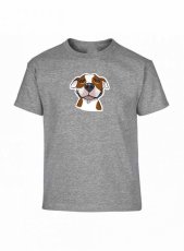Nadměrná velikost - Pitbull