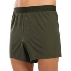 Pánské trenky Gino bambusové zelené (75195-DCZ)