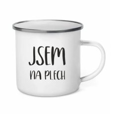 Plecháček - Jsem na plech