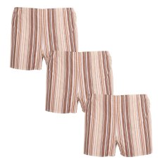 3PACK Klasické pánské trenky Foltýn hnědé s proužky nadrozměr (3xKN77)