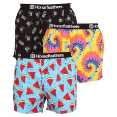 3PACK pánské trenky Horsefeathers Frazier Bundle 3 (AM096E)