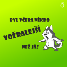 Pánské  tričko - Byl včera někdo vožralejší než já?