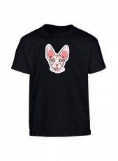 Nadměrná velikost - Kanadský sphynx světlý