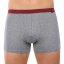3PACK pánské boxerky Andrie šedé (PS 5702) - Velikost: L