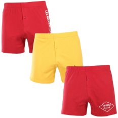 3PACK pánské trenky Lee Cooper vícebarevné (3xPO38819/1)