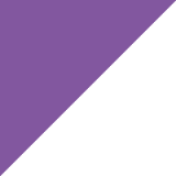Fialová/Bílá