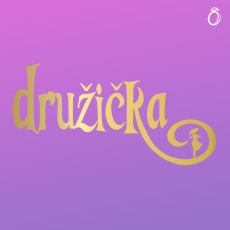 Svatební tričko - SILUETA - Družička