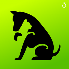 Nažehlovací motív - Mačka a pes