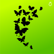 Nažehlovací motiv - Motýlci