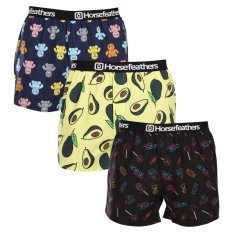3PACK pánské trenky Horsefeathers Frazier Bundle 5 (AM096G)