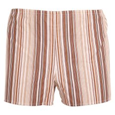 Klasické pánské trenky Foltýn hnědé s proužky (K53)