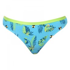 Veselé dámské kalhotky Dedoles Chameleon a hmyz (D-W-UN-BB-C-C-1312)