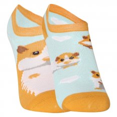 Veselé dětské ponožky Dedoles Morče (D-K-SC-LS-C-C-137)