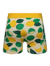 Veselé pánské boxerky Dedoles Limetka a citrón (D-M-UN-T-C-C-1563) XL