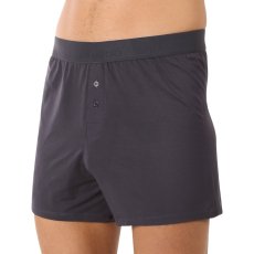 Pánské trenky Gino bambusové šedé (75195)