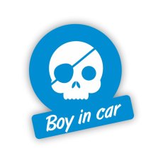 Samolepka na auto - Boy in car