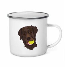 Plecháček - Labrador hnědý